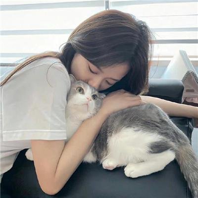 好像一条狗